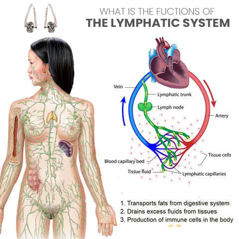 UK’s #1 Germanium Earrings — Stylish Comfort for Wellness & Energy