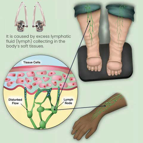 UK’s #1 Germanium Earrings — Stylish Comfort for Wellness & Energy